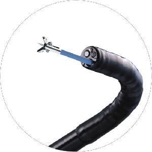 Spike Endoscope Coated Disposable Biopsy Forceps